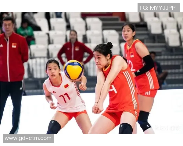 排球深度：解密成都排球队的节奏