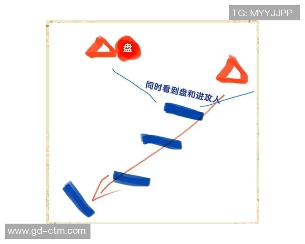飞盘评论：广州飞盘队的区域防守得失