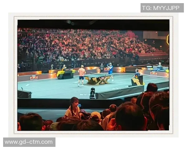 从零开始:乒乓球配合完全攻略 从零开始:乒乓球配合完全攻略